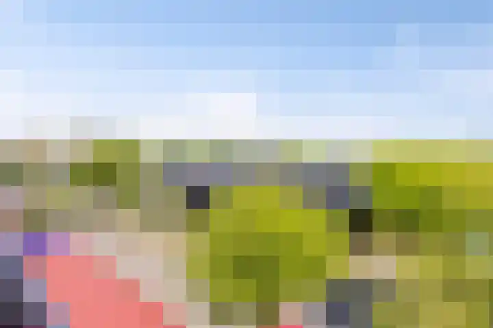 Zeelt 4 Amersfoort thumbnail 18