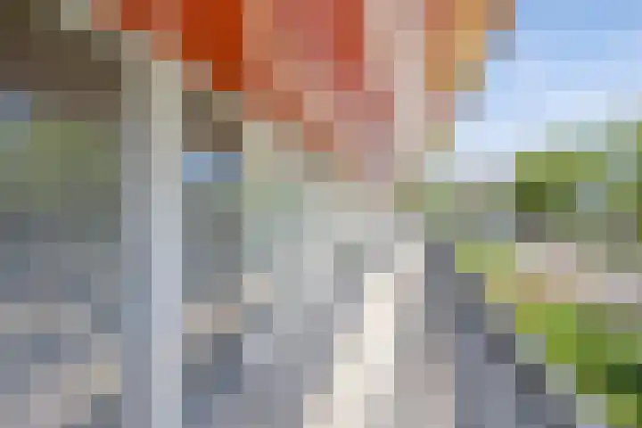 Zeelt 4 Amersfoort thumbnail 25