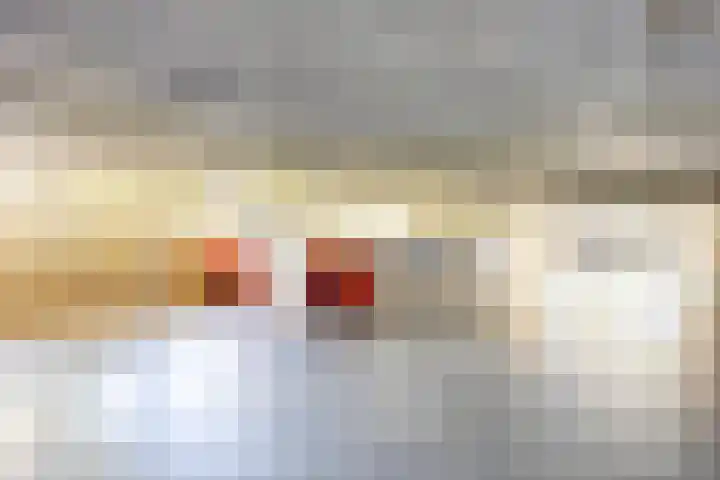 Zeelt 4 Amersfoort thumbnail 27
