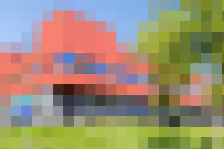 Zeelt 4 Amersfoort thumbnail 29