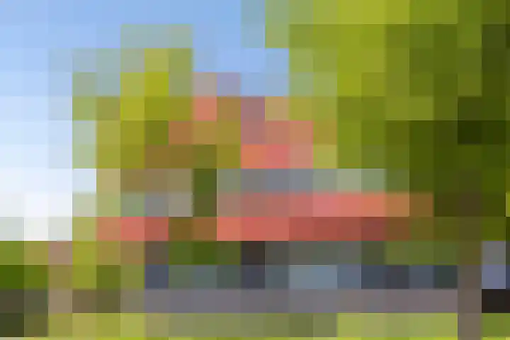 Zeelt 4 Amersfoort thumbnail 30