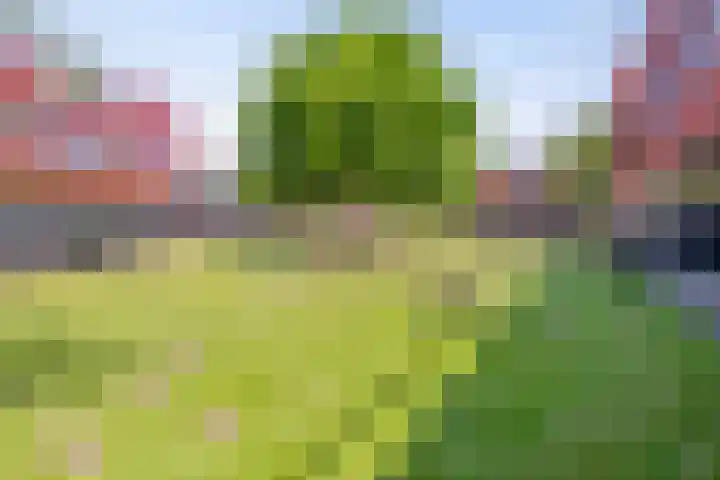 Zeelt 4 Amersfoort thumbnail 31