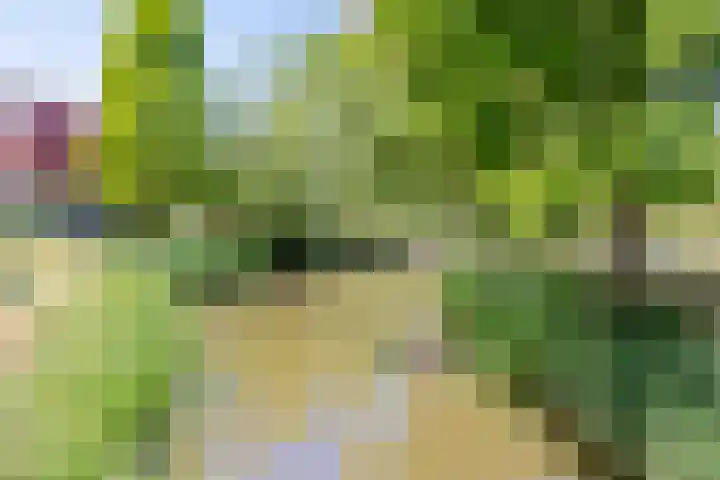 Zeelt 4 Amersfoort thumbnail 32