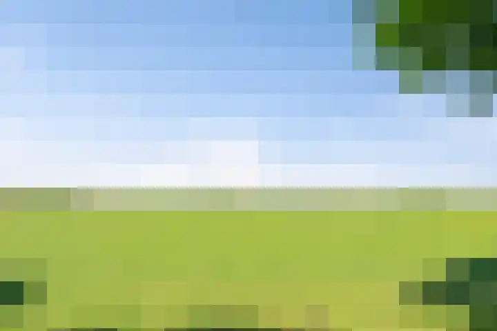 Zeelt 4 Amersfoort thumbnail 33