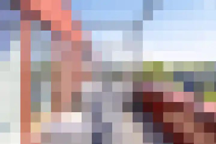 Zeelt 4 Amersfoort thumbnail 4