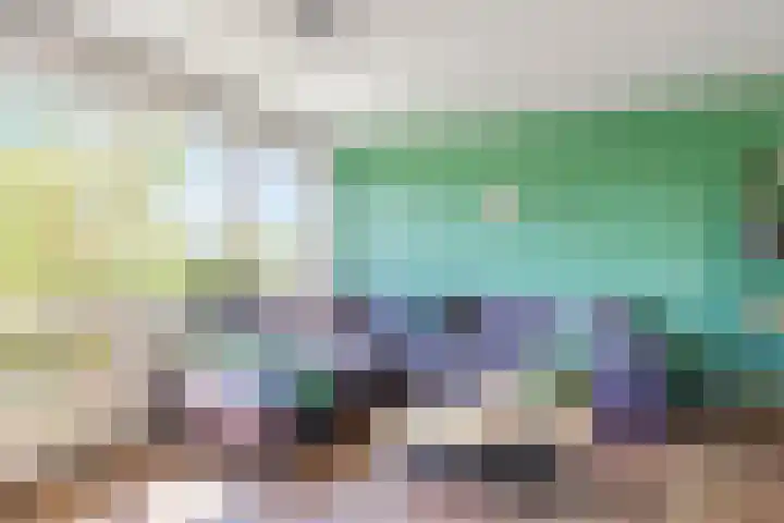Zeelt 4 Amersfoort thumbnail 5
