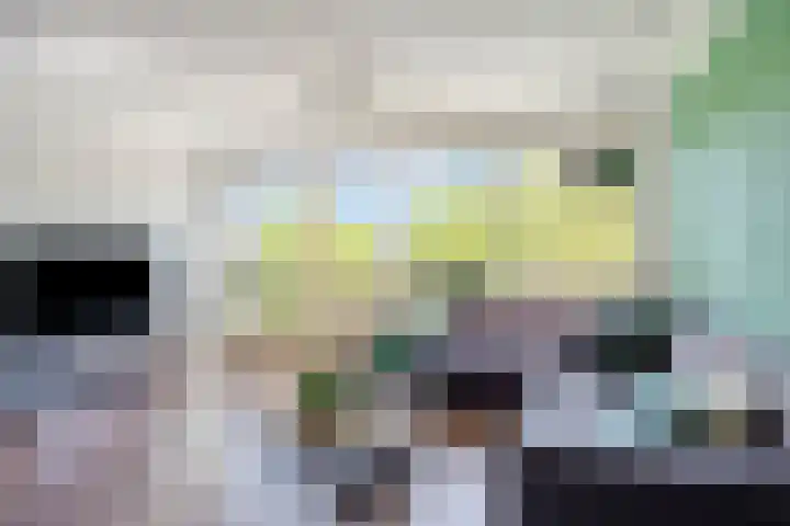 Zeelt 4 Amersfoort thumbnail 6