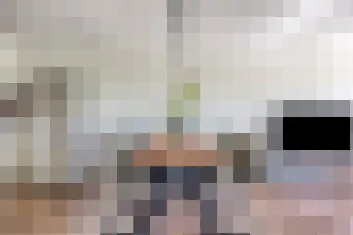 Zeelt 4 Amersfoort thumbnail 7