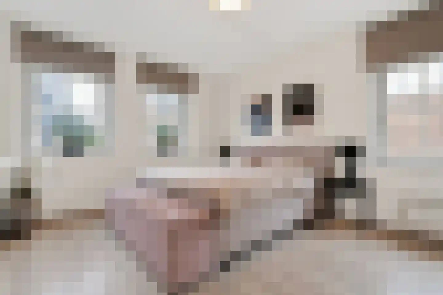 Zeelt 4 Waddinxveen thumbnail 11