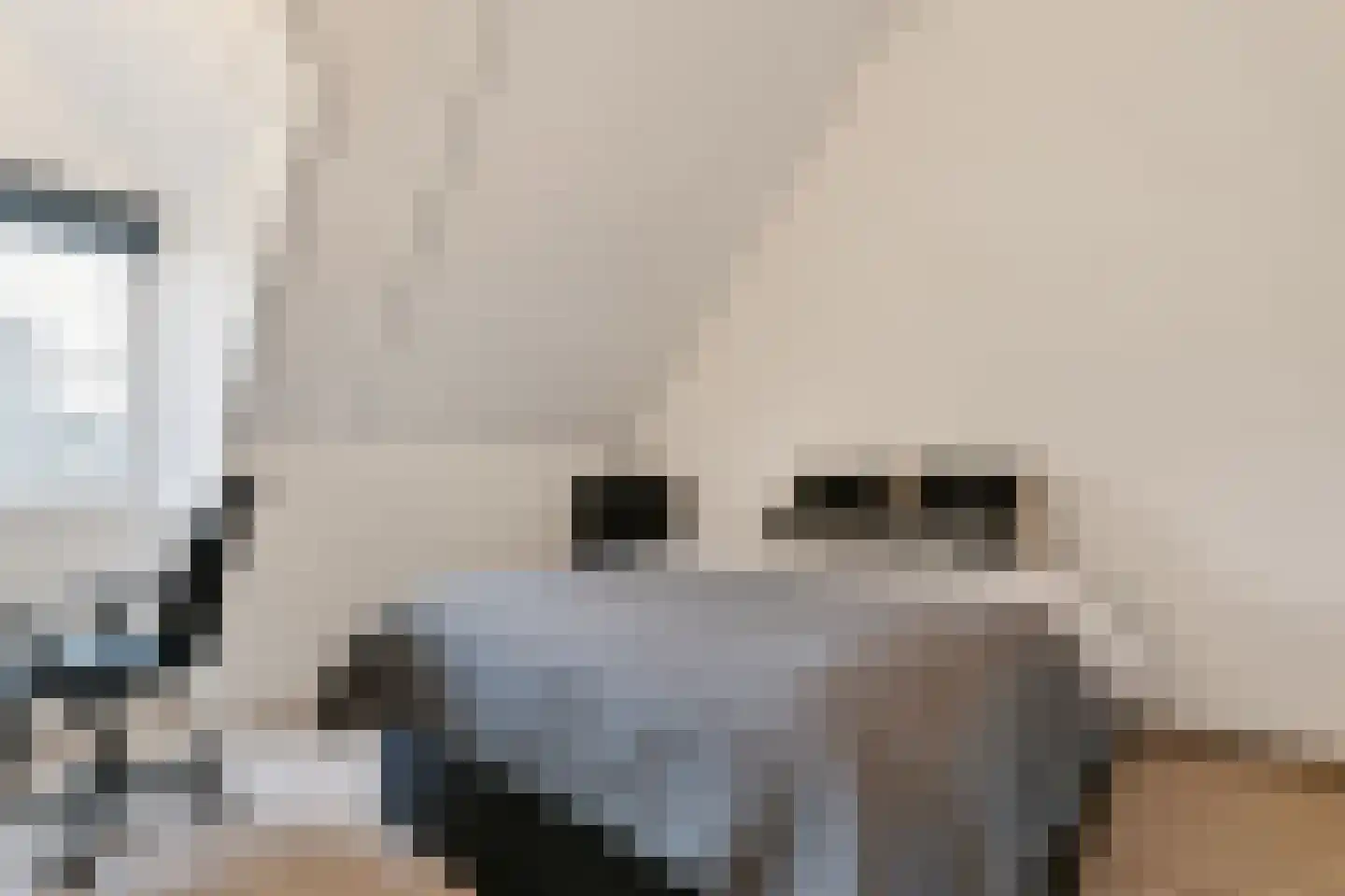 Zeelt 4 Waddinxveen thumbnail 12