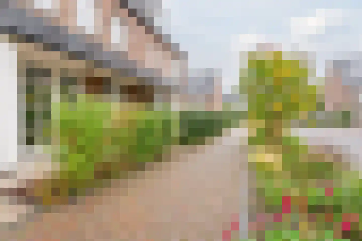 Zeelt 4 Waddinxveen thumbnail 20