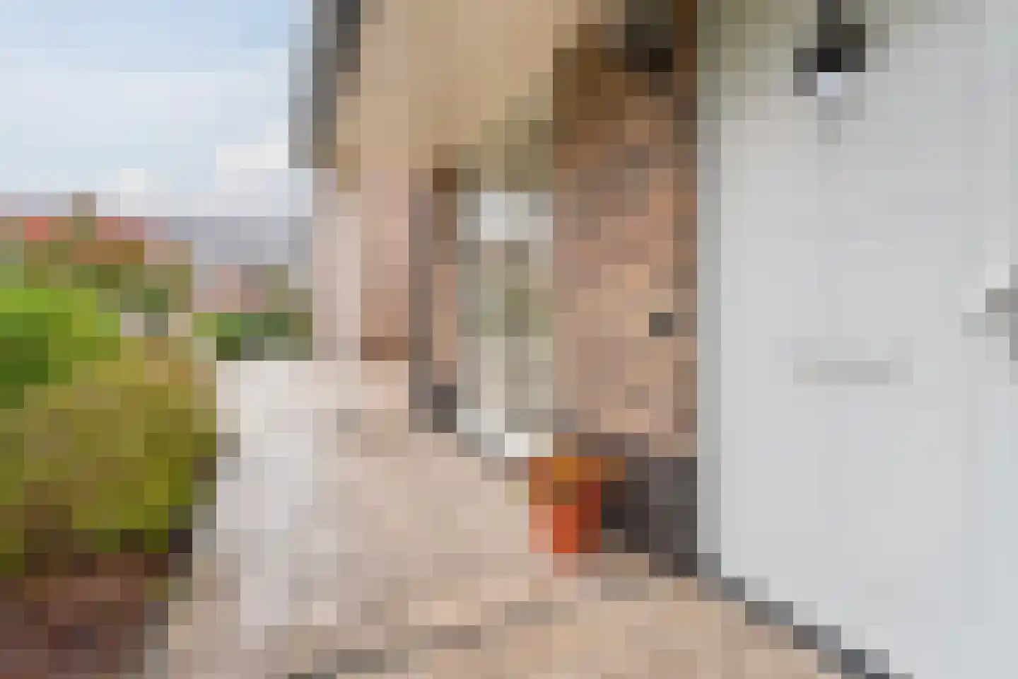 Zeelt 4 Waddinxveen thumbnail 21