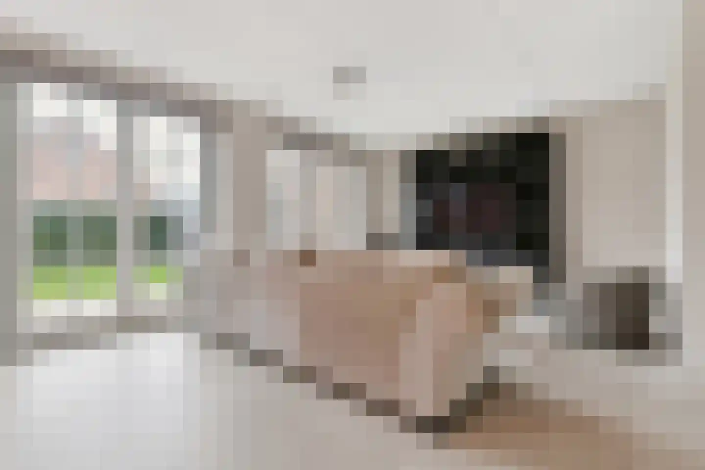 Zeelt 4 Waddinxveen thumbnail 23