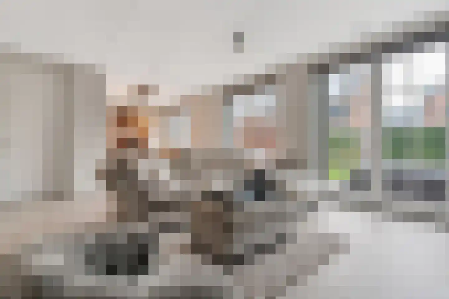 Zeelt 4 Waddinxveen thumbnail 25