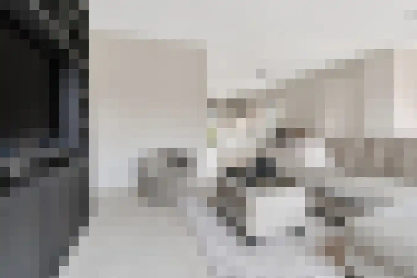 Zeelt 4 Waddinxveen thumbnail 26
