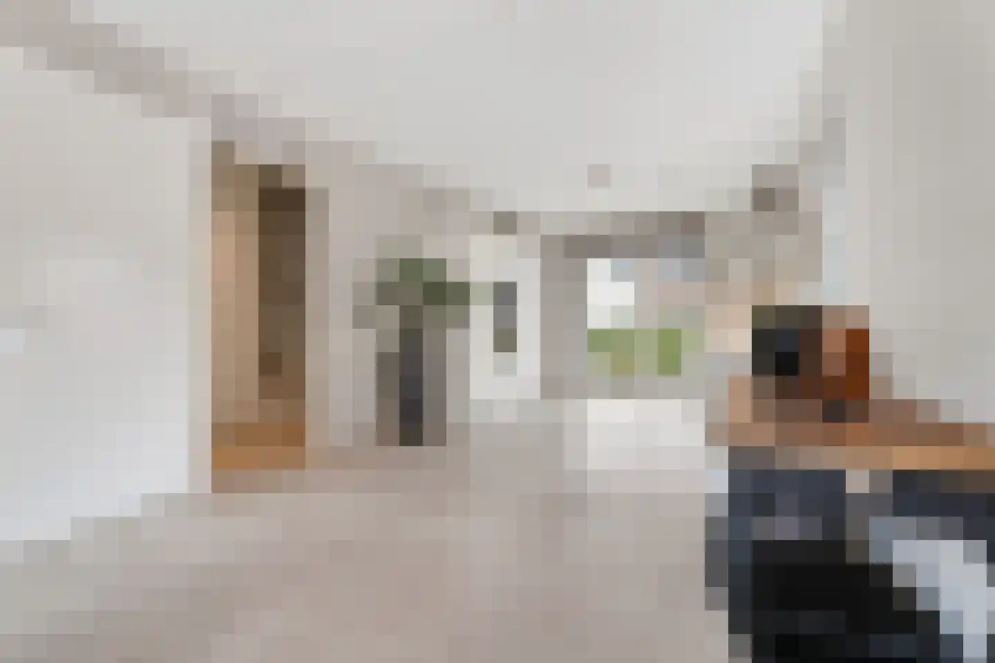 Zeelt 4 Waddinxveen thumbnail 31