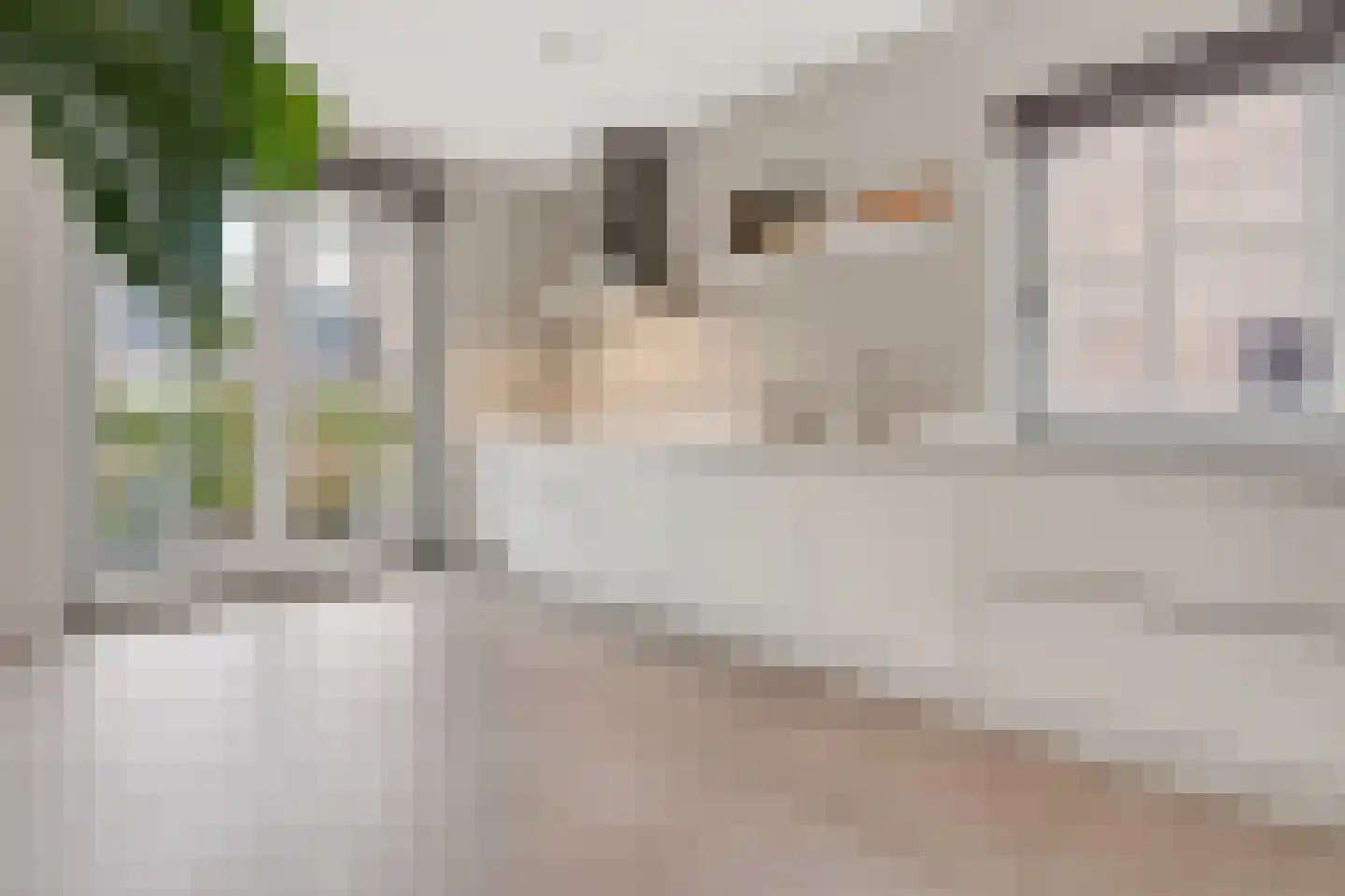 Zeelt 4 Waddinxveen thumbnail 33