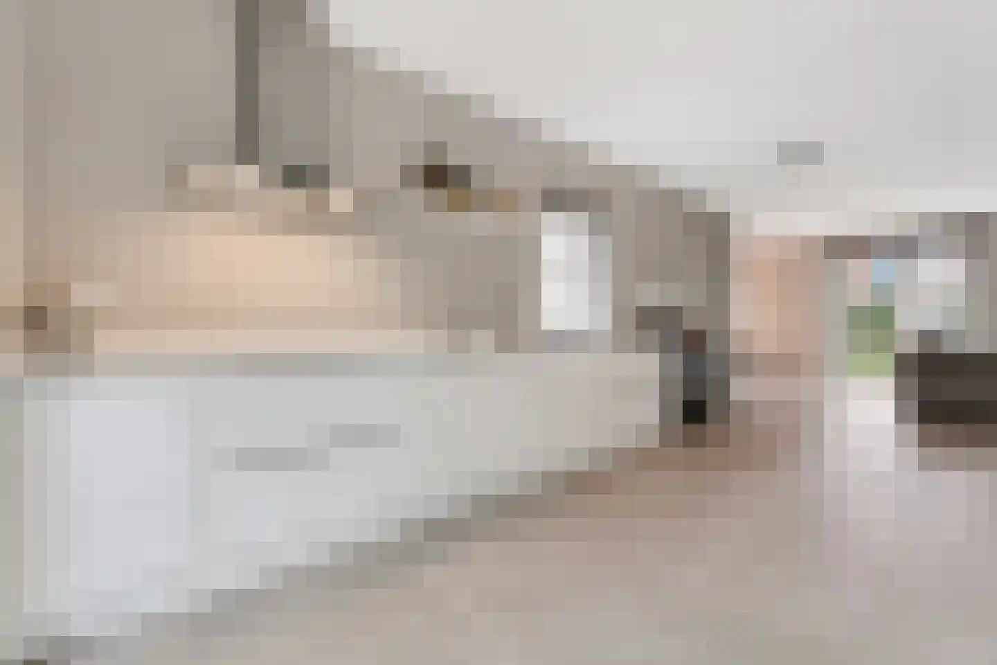 Zeelt 4 Waddinxveen thumbnail 36