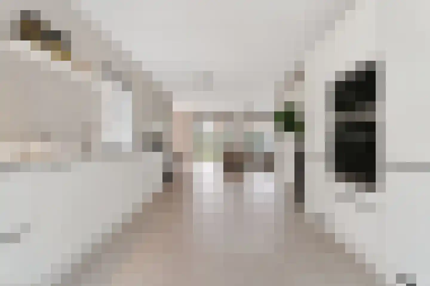 Zeelt 4 Waddinxveen thumbnail 37