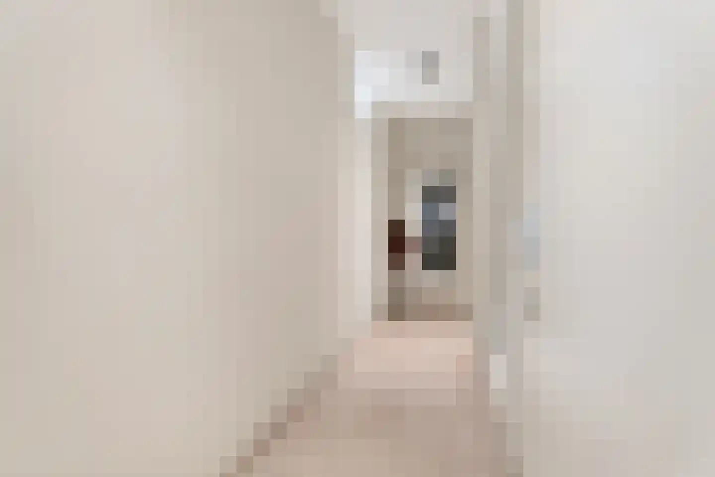 Zeelt 4 Waddinxveen thumbnail 39