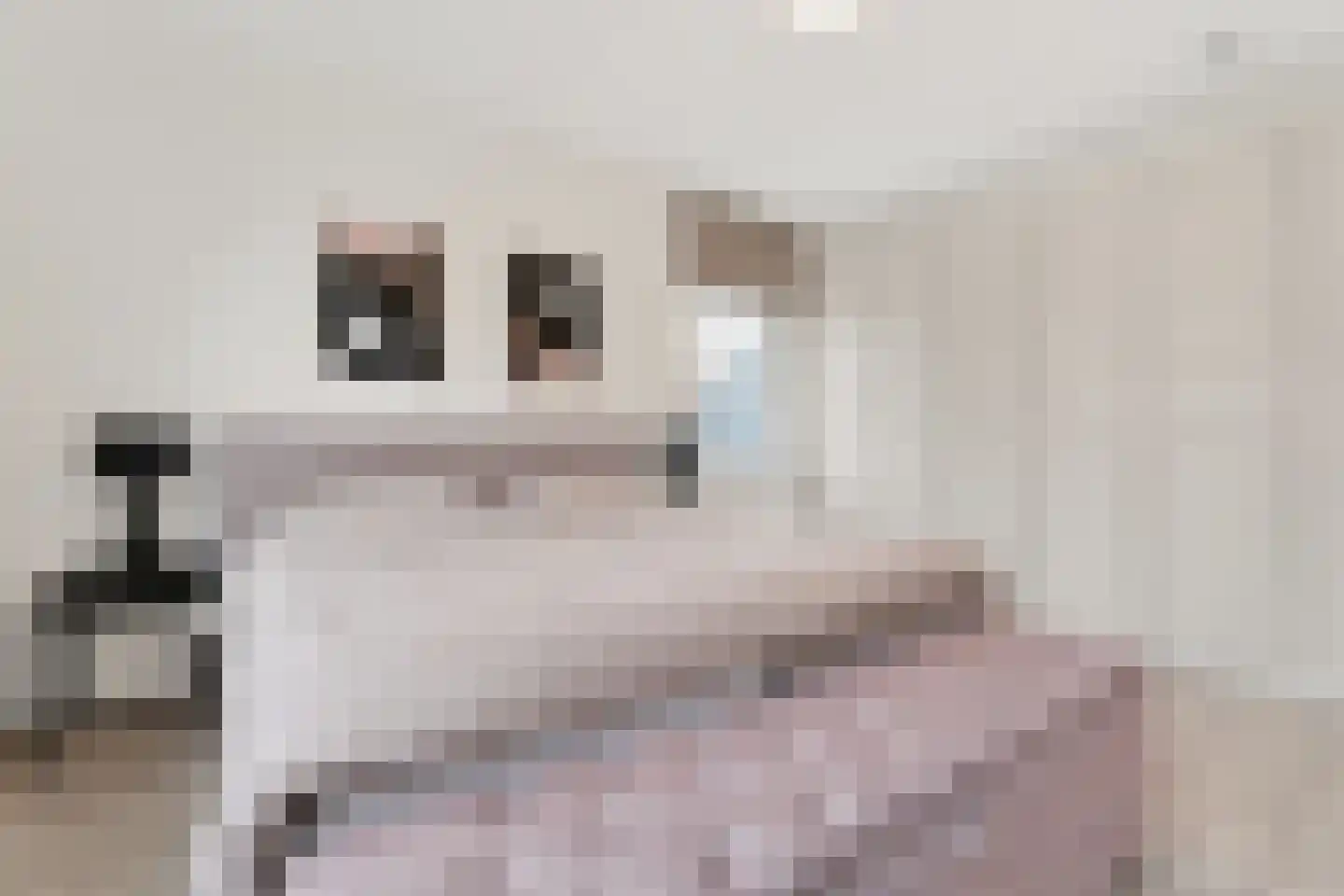Zeelt 4 Waddinxveen thumbnail 43
