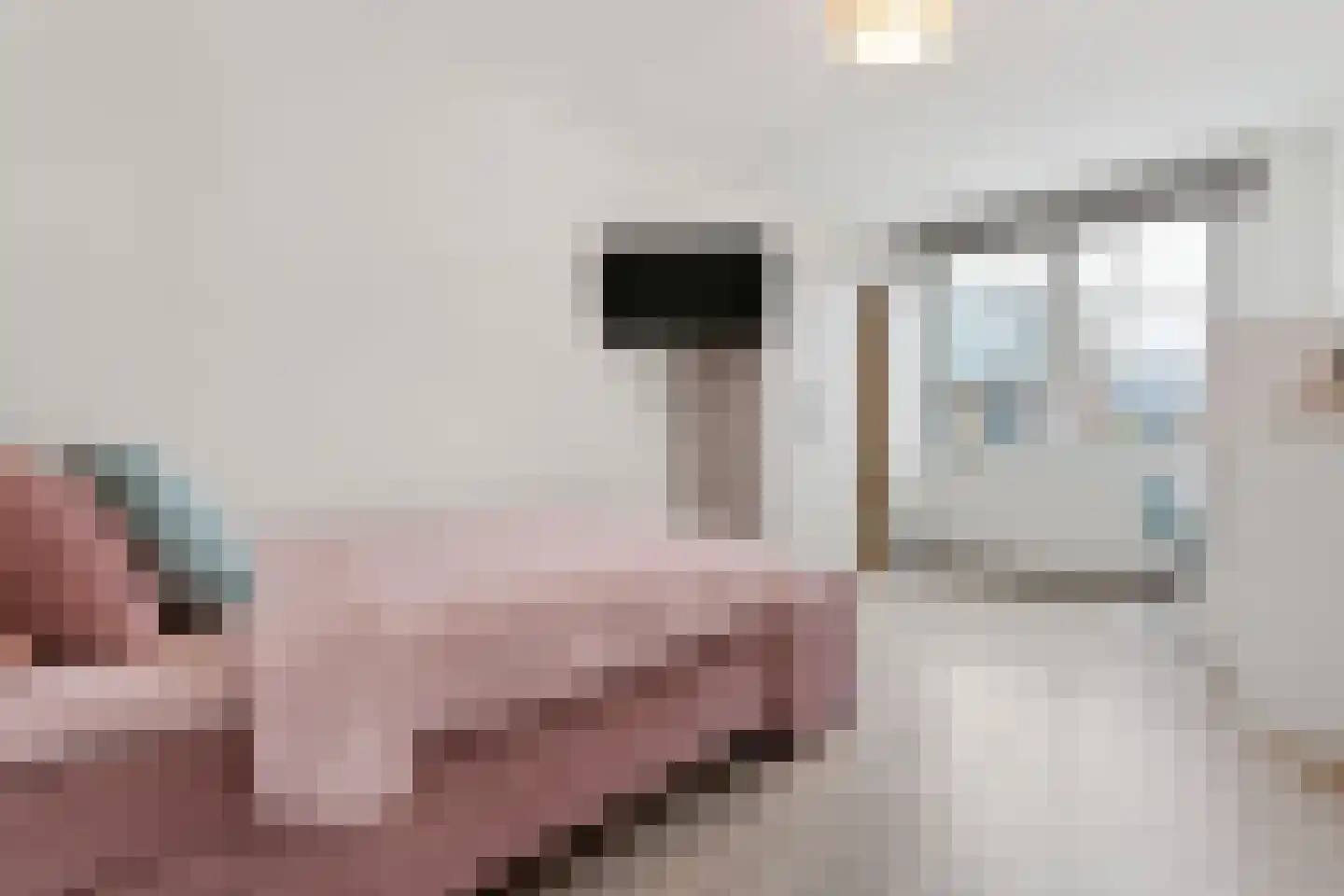 Zeelt 4 Waddinxveen thumbnail 45