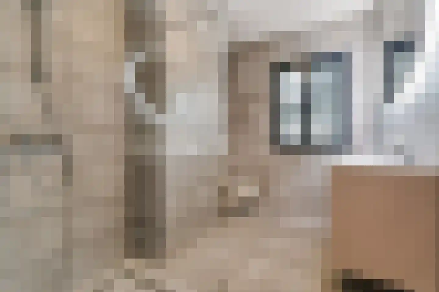 Zeelt 4 Waddinxveen thumbnail 51