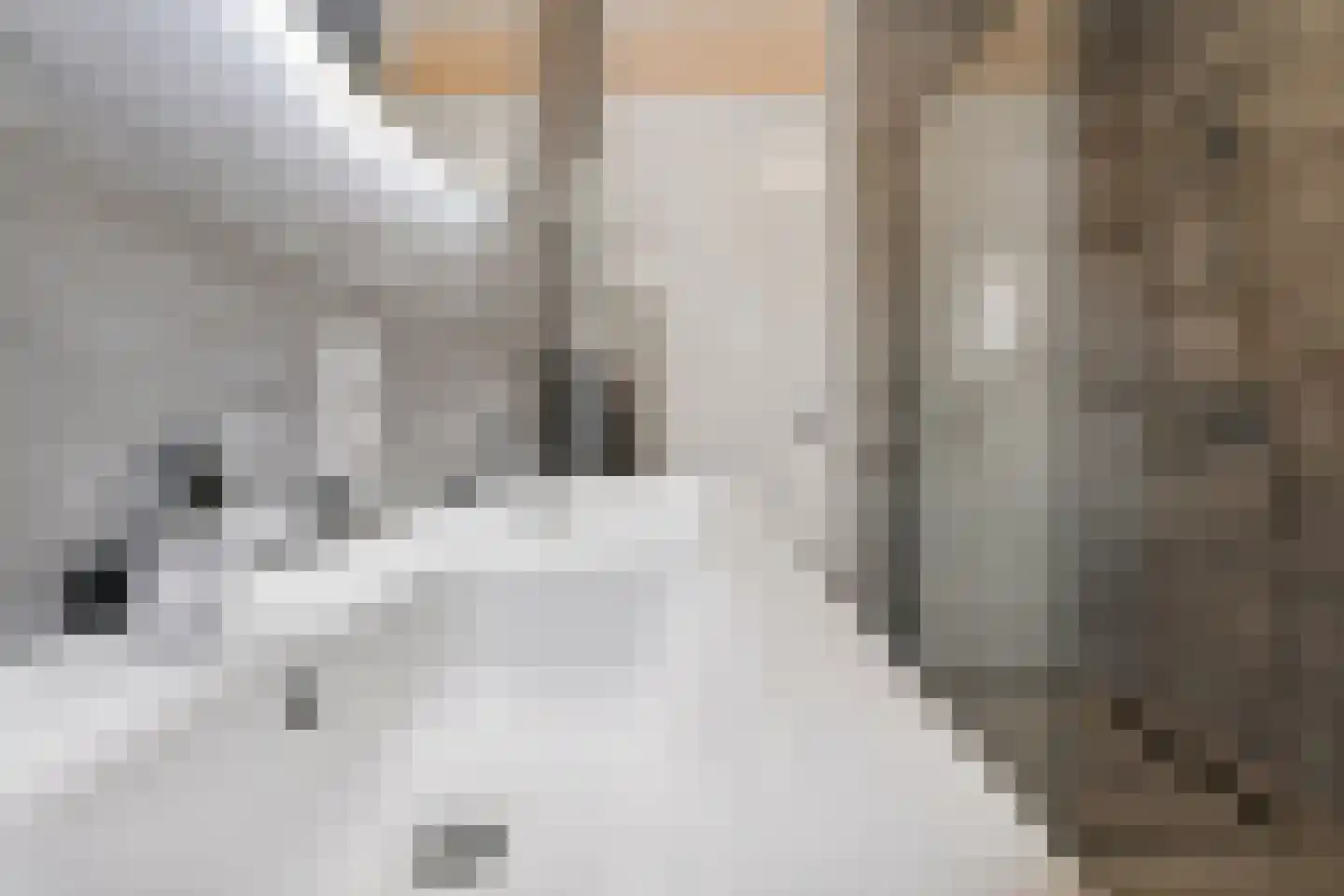 Zeelt 4 Waddinxveen thumbnail 53