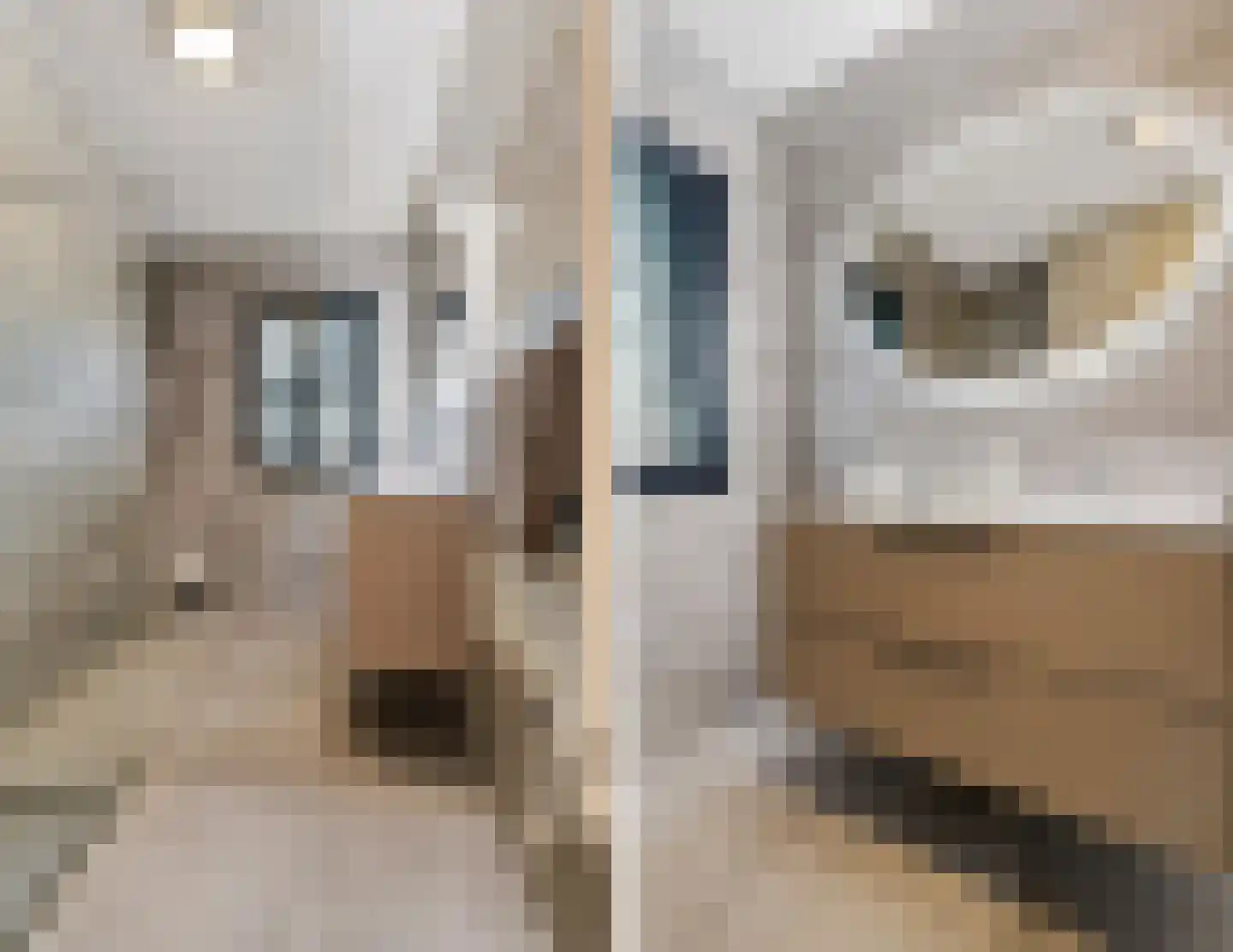 Zeelt 4 Waddinxveen thumbnail 54