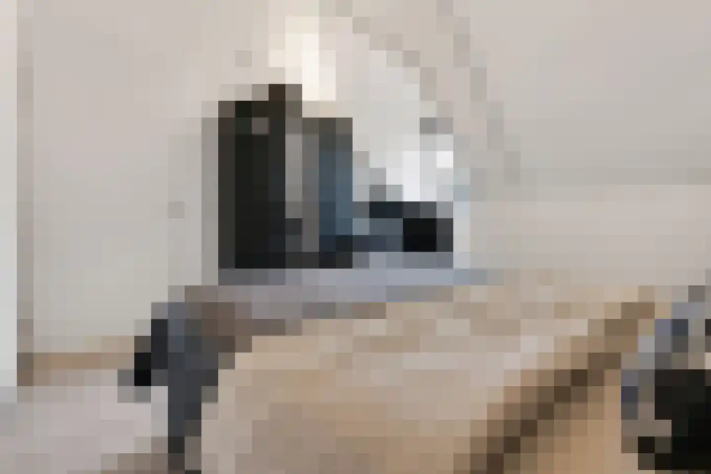 Zeelt 4 Waddinxveen thumbnail 59