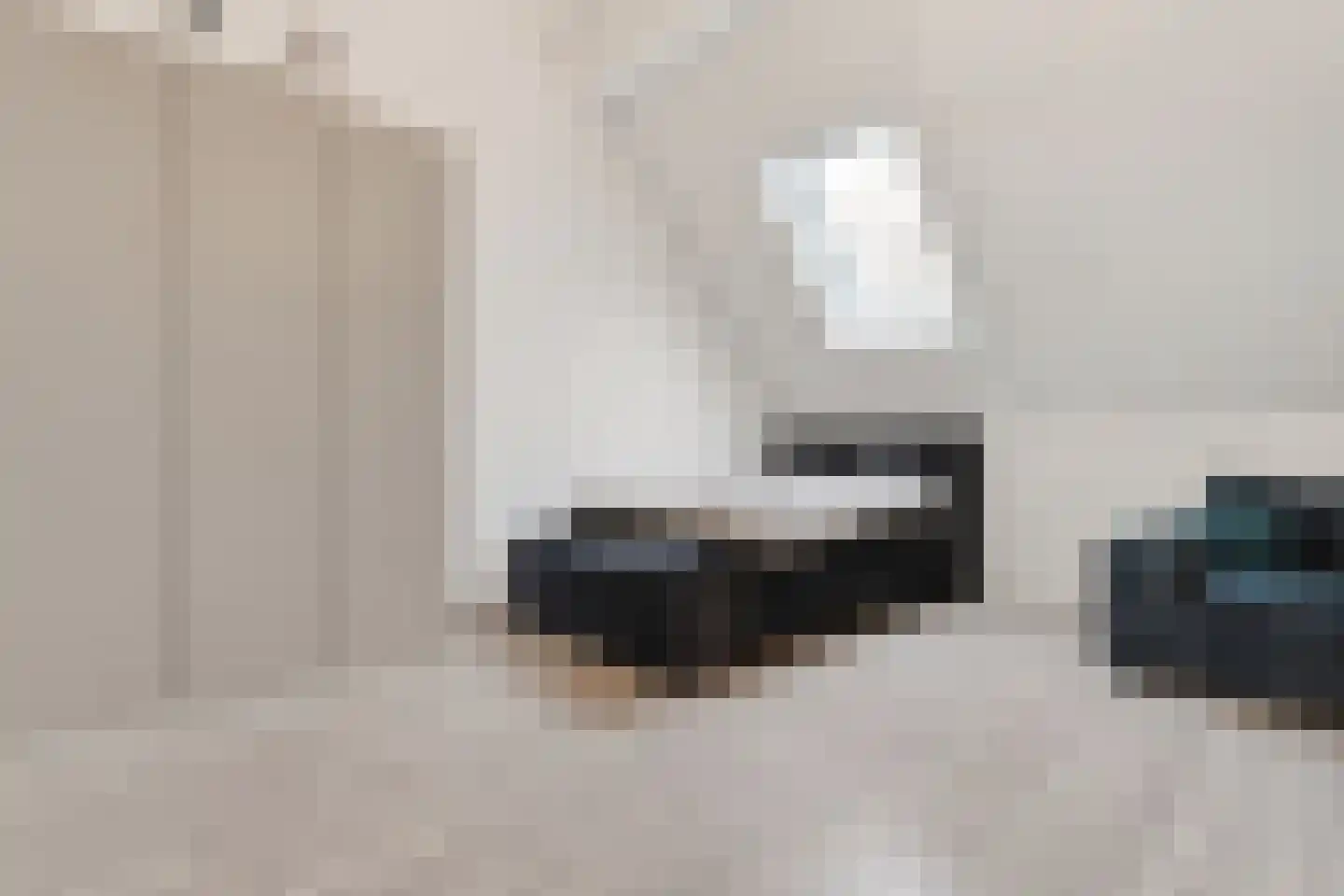 Zeelt 4 Waddinxveen thumbnail 60