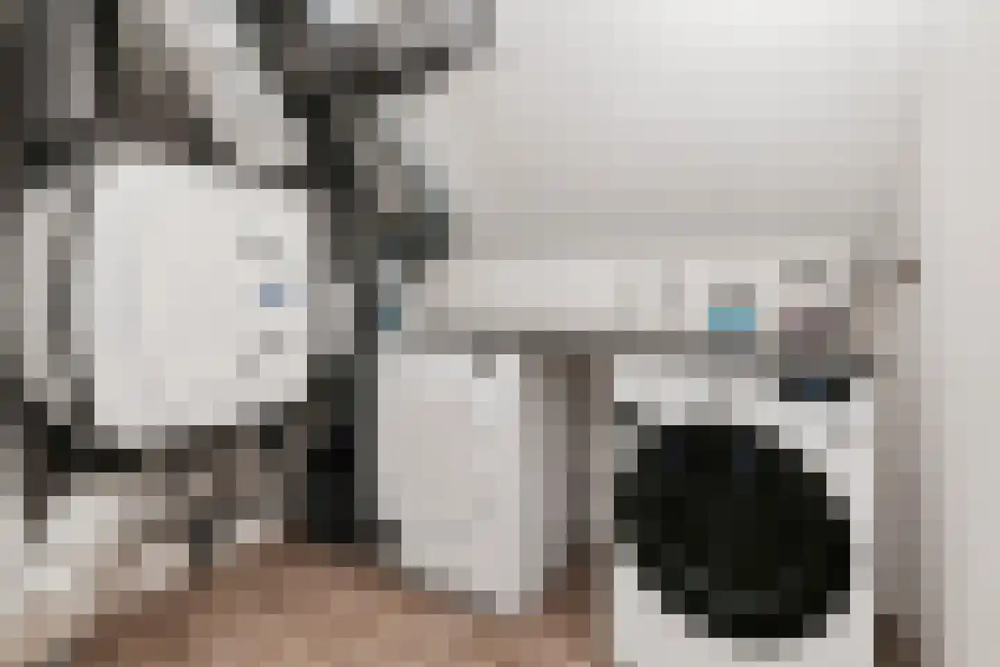 Zeelt 4 Waddinxveen thumbnail 65