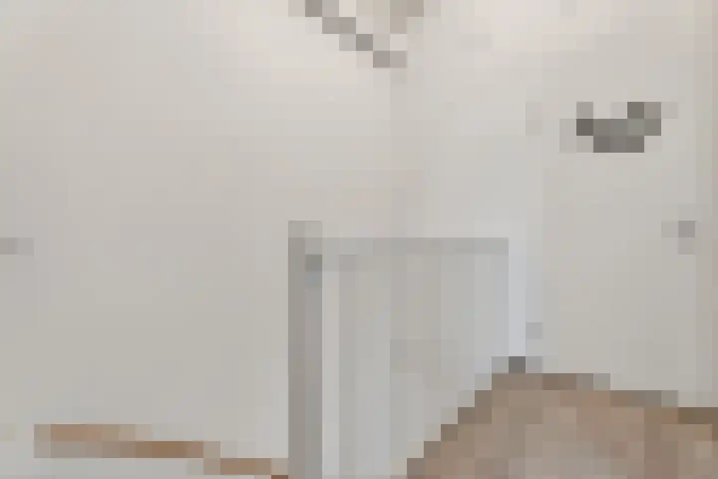 Zeelt 4 Waddinxveen thumbnail 67