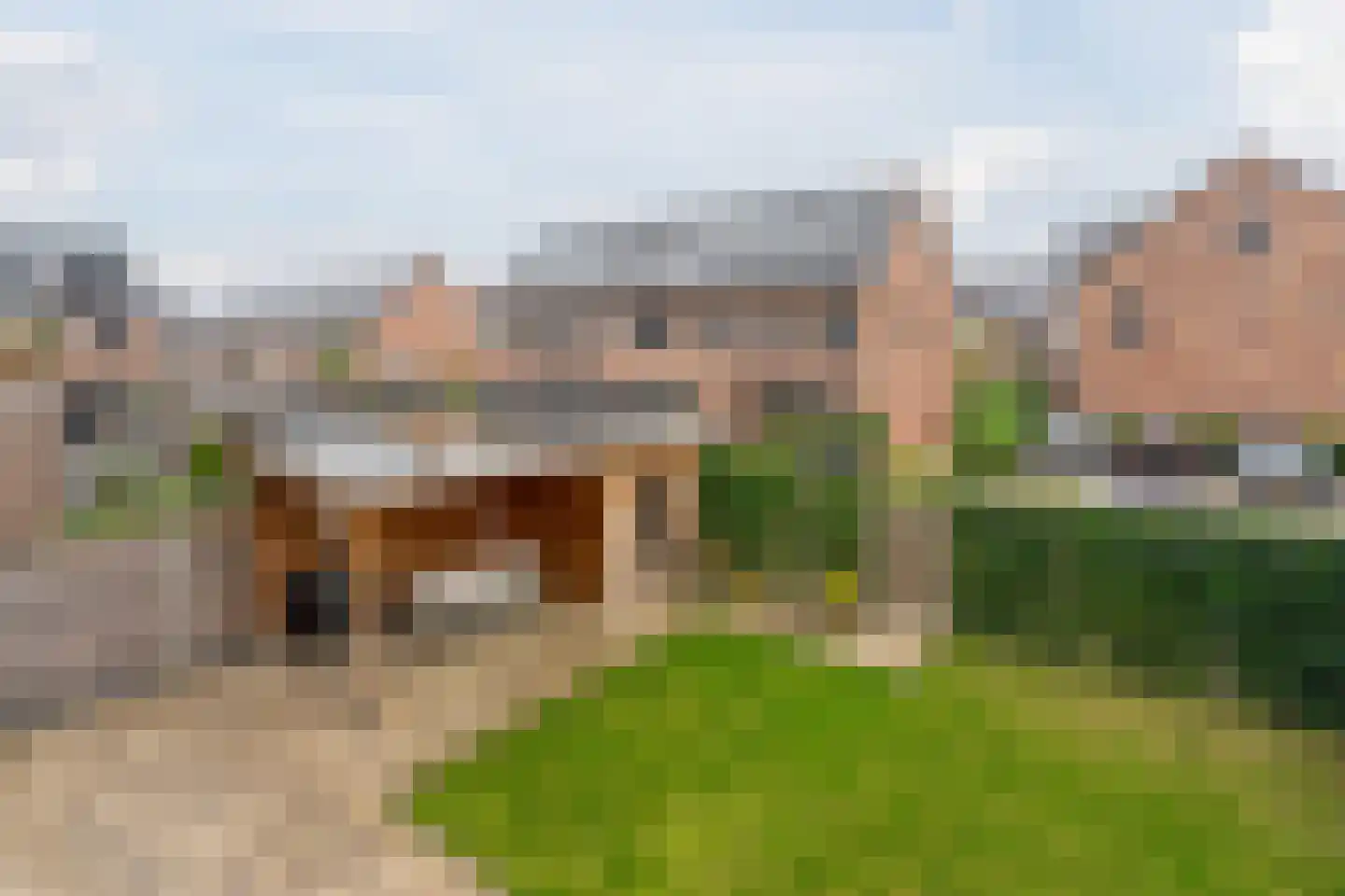 Zeelt 4 Waddinxveen thumbnail 68