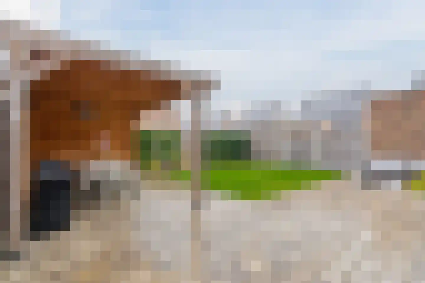 Zeelt 4 Waddinxveen thumbnail 69