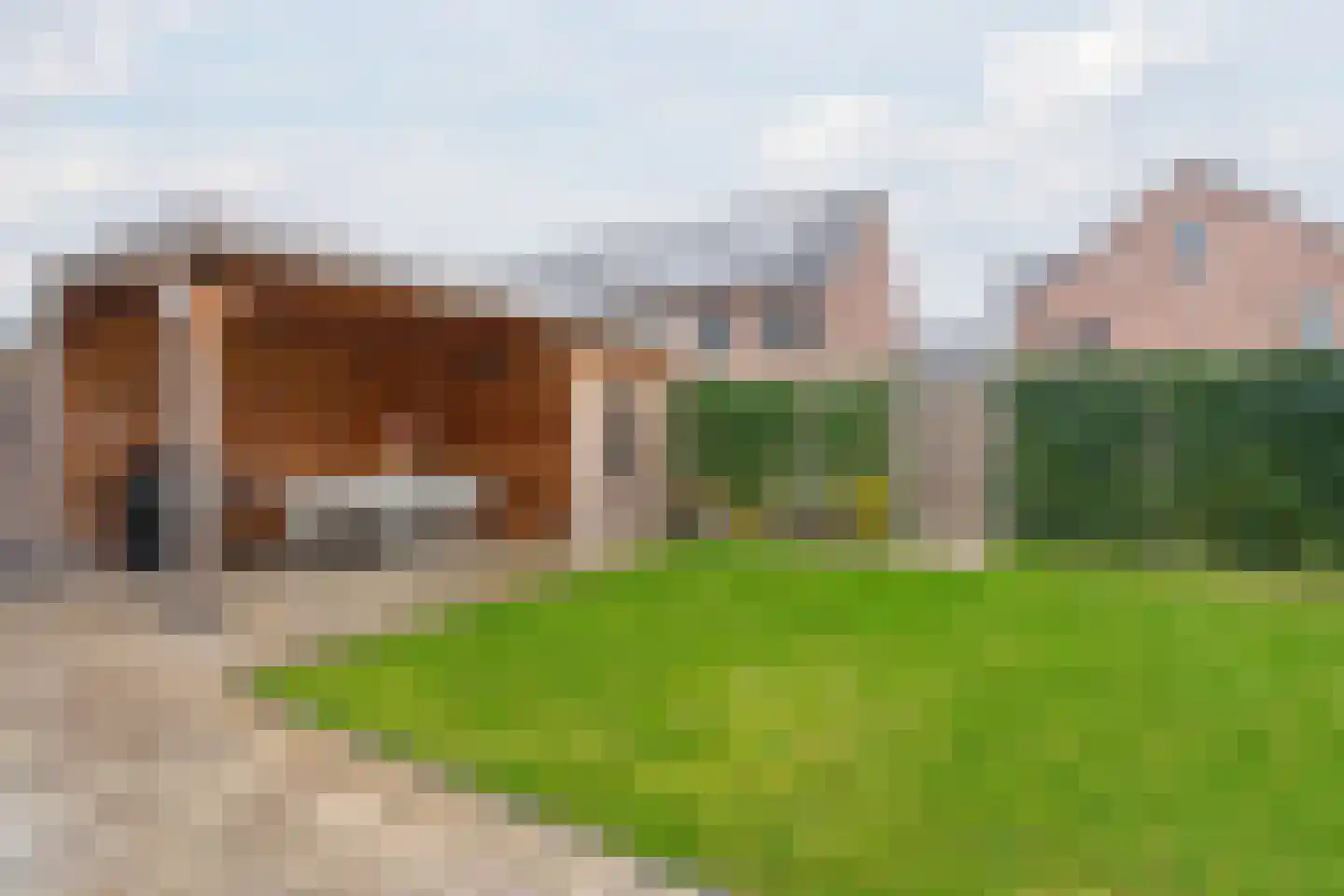 Zeelt 4 Waddinxveen thumbnail 70