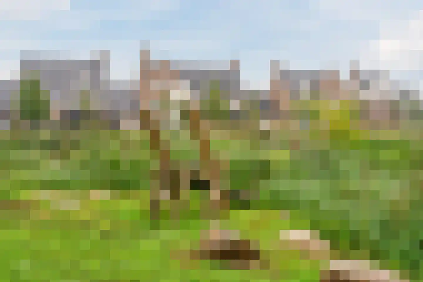 Zeelt 4 Waddinxveen thumbnail 76