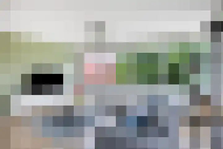 Zeelt 40 Amersfoort thumbnail 12