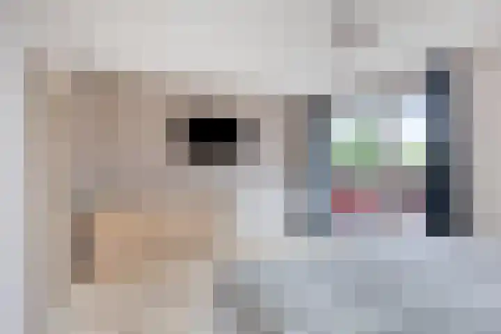 Zeelt 40 Amersfoort thumbnail 18
