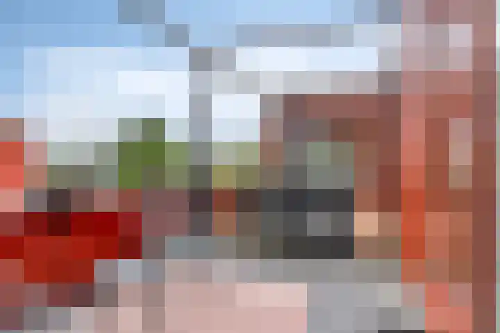 Zeelt 40 Amersfoort thumbnail 19