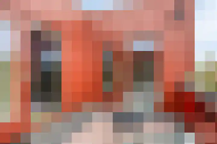 Zeelt 40 Amersfoort thumbnail 20