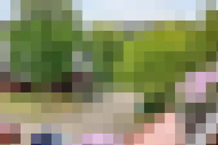 Zeelt 40 Amersfoort thumbnail 21