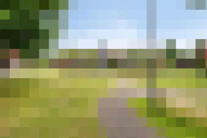 Zeelt 40 Amersfoort thumbnail 22