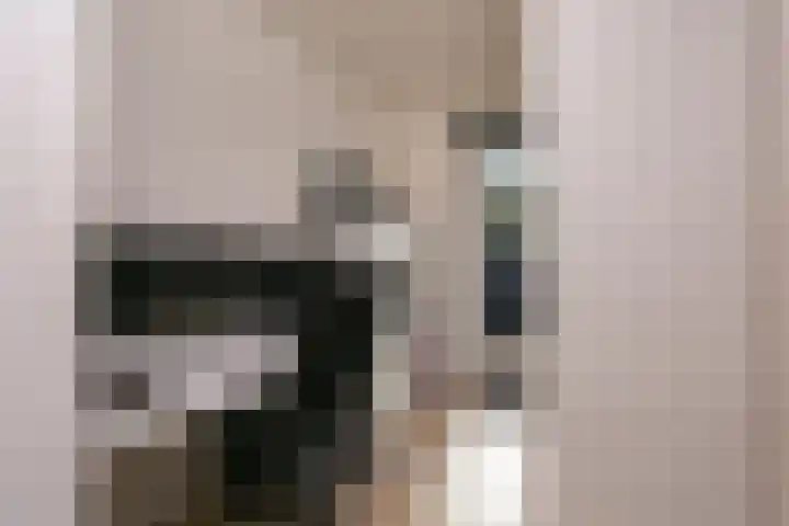 Zeelt 58 Amersfoort thumbnail 20