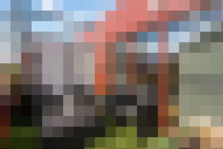 Zeelt 58 Amersfoort thumbnail 24