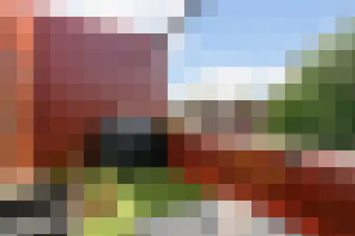 Zeelt 58 Amersfoort thumbnail 25
