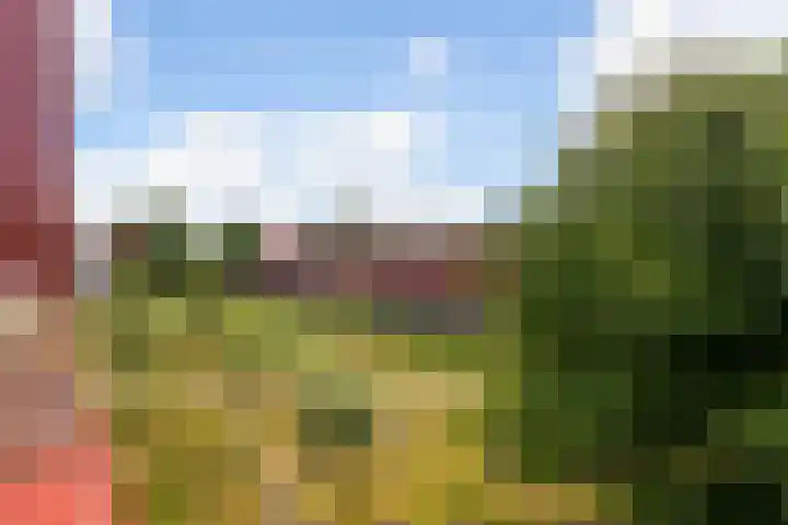 Zeelt 58 Amersfoort thumbnail 26