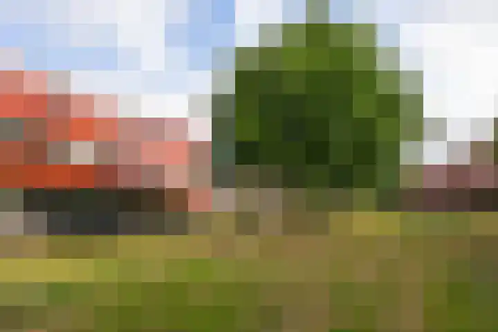 Zeelt 58 Amersfoort thumbnail 29