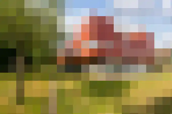 Zeelt 58 Amersfoort thumbnail 30