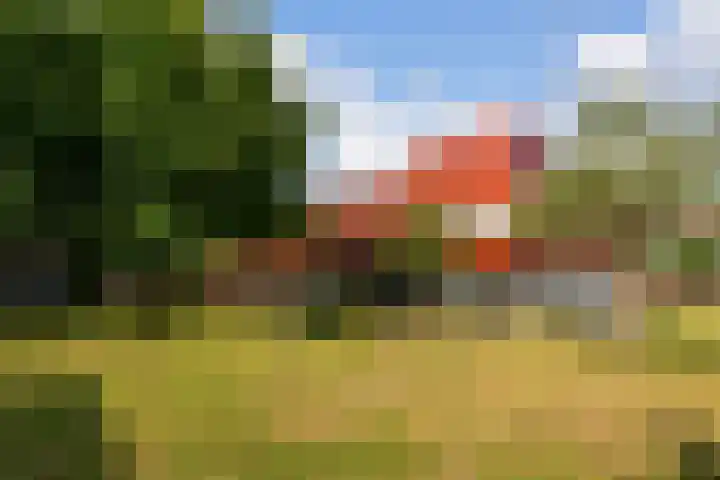 Zeelt 58 Amersfoort thumbnail 31